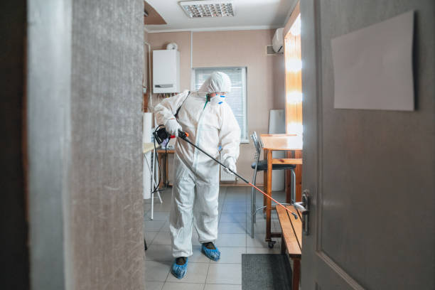 Asbestos and Lead Testing During Mold Inspection in New Knoxville, OH
