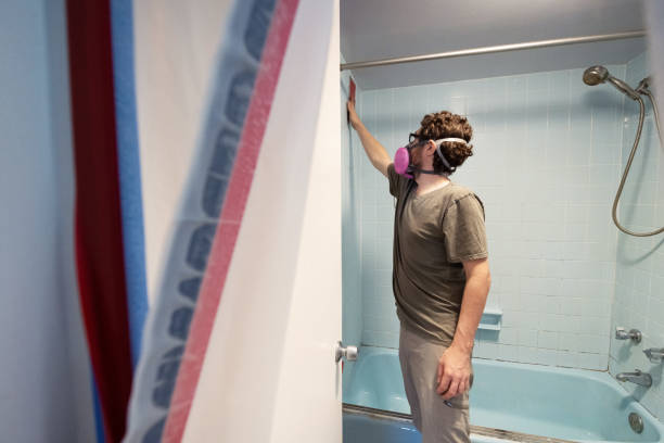 Best Emergency Mold Remediation  in New Knoxville, OH