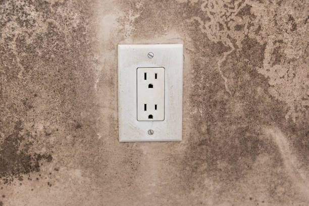 Best Mold Odor Removal Services  in New Knoxville, OH